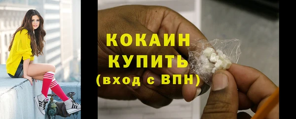молекула духа Киреевск