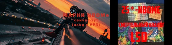 шишки Кинешма