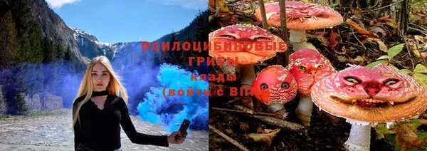 молекула духа Киреевск