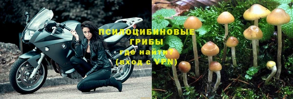шишки Кинешма