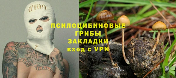 молекула духа Киреевск