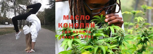 молекула духа Киреевск