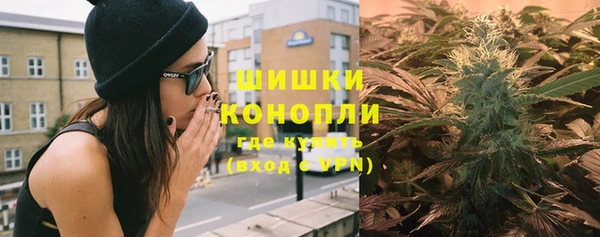 молекула духа Киреевск