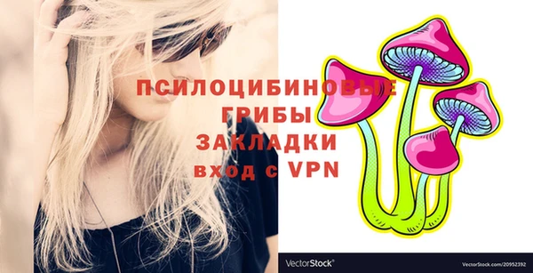 шишки Кинешма