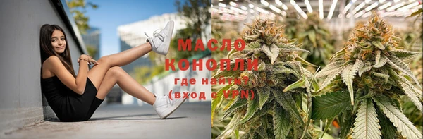 молекула духа Киреевск