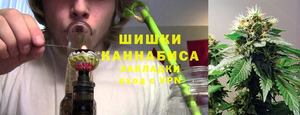 шишки Кинешма